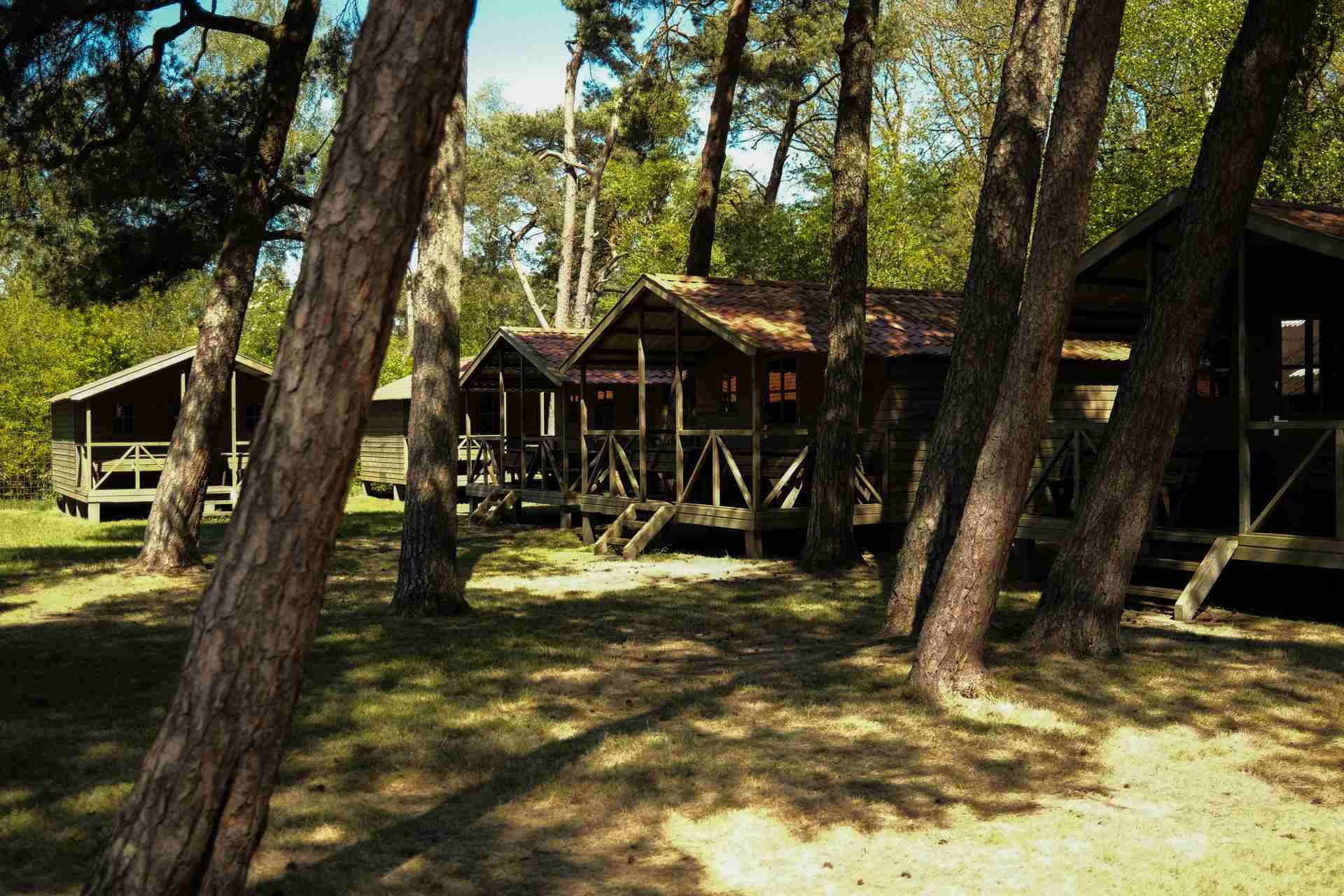 Villa+ 6-8 personen
